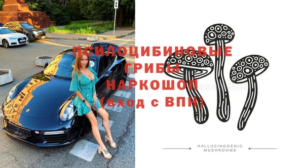 молекула духа Инта