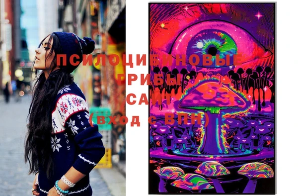 круглые Иннополис